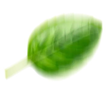 basilic