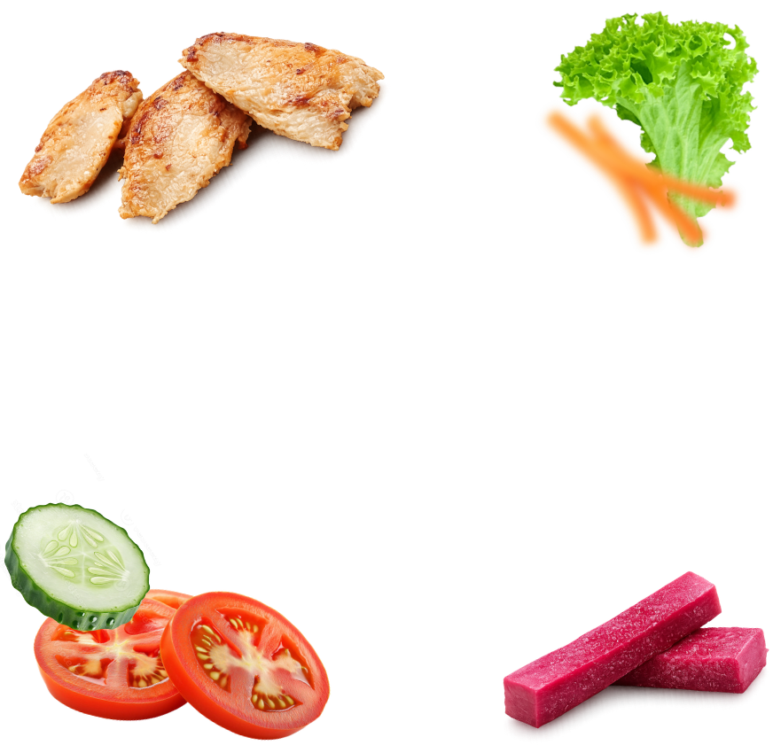 Slices of cooked meat, red onion rings with pickle, black truffle slices with green leaf garnish.